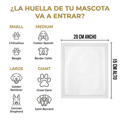Kit Huella Personalizada